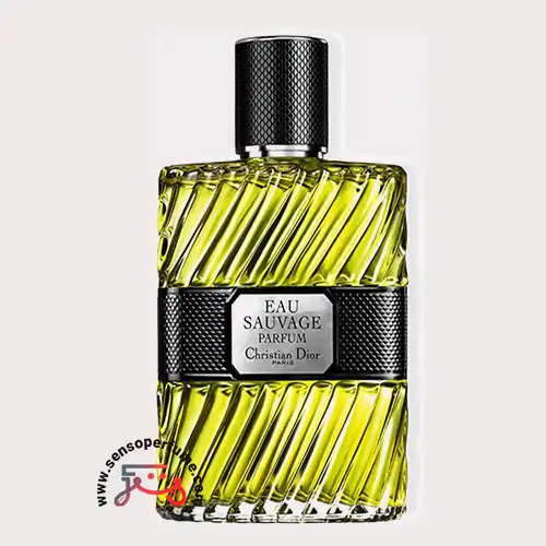 عطر ادکلن دیور او ساواج پرفیوم 2017 مردانه